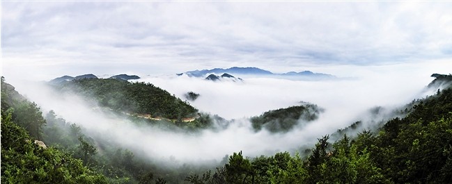我市对饮用水源区域进行生态补偿