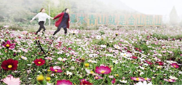 建辉村:浪漫花田醉游人--诸暨在线 网上诸暨--诸