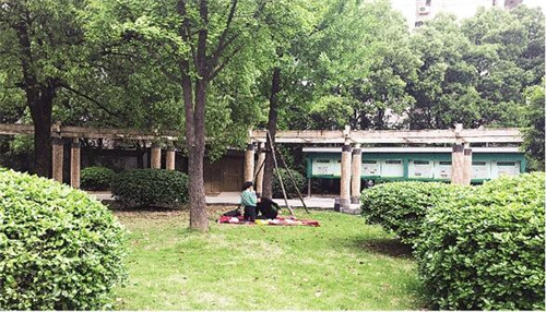 公园成为市民赏花踏春的好去处,城市广场,艮塔公园,市民公园,江东公园